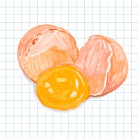 Hand drawn fresh egg watercolor style