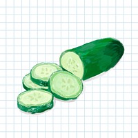Hand drawn cucumber watercolor style