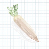 Hand drawn vegetable watercolor style