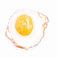 Hand drawn cooked egg watercolor style