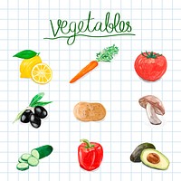 Hand drawn vegetables watercolor style