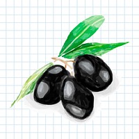 Hand drawn olives watercolor style