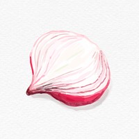 Food ingredient shallot psd watercolor