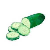 Hand drawn cucumber watercolor style
