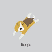 Cute illustration of a beagle dog