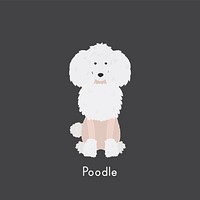 Cute illustration of a poodle dog