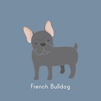 Cute illustration of a french bulldog
