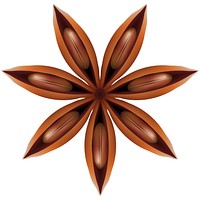 Illustration of star anise for home decoration