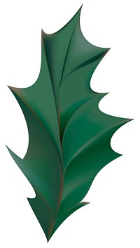 Illustration of holly leaf icon