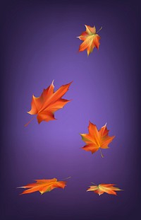 Falling red maple leaves illustration vector