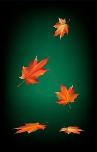 Falling red maple leaves illustration vector
