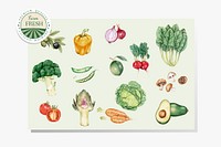 Fresh healthy vegetables vector