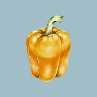 Illustration of a yellow bell pepper