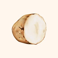 Illustration of sliced potato