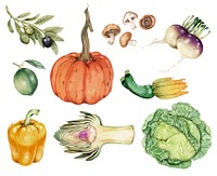 Hand drawn vegetable collection vector
