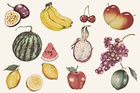 Illustration of tropical fruits watercolor style