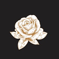 Hand drawn rose on black background vector