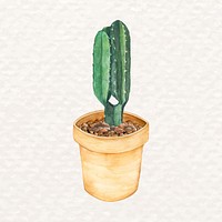 Potted cactus succulent psd watercolor Euphorbia ingens 