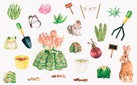 Hand drawn garden objects and plants