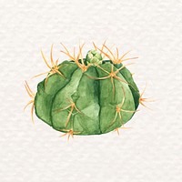 Watercolor desert cactus psd Gymnocalycium tillianum