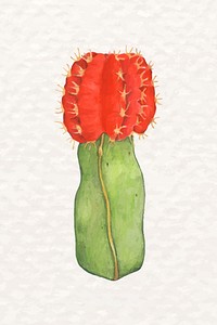 Watercolor desert psd moon cactus