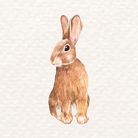 Hand-drawn cute rabbit psd in watercolor