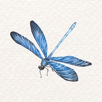 Hand-drawn dragonfly psd in watercolor