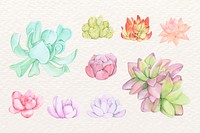 Hand-drawn succulent psd sticker set