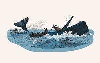 Illustration of the sperm whale while attacking fishing boat