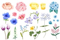 Different types of illustrated flowers isolated on white background.
