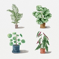 Psd watercolor tropical plant set