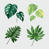 Psd watercolor tropical leaf set