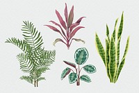 Watercolor psd green leaf set