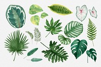 Watercolor psd green leaf set