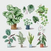 Tropical watercolor plant psd botanical set