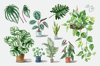 Watercolor tropical plant vector set