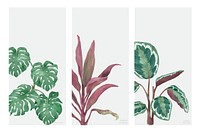 Collection of hand drawn plants isolated on white background