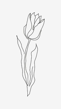 Tulip flower psd line drawing