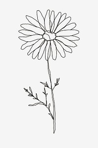 Monoline flower tattoo psd design daisy