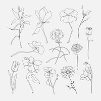 Flower hand drawn vector set black single line art