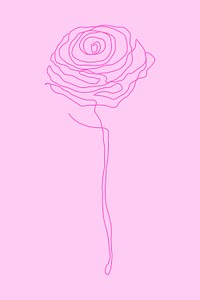 Rose flower line psd drawing on pink background