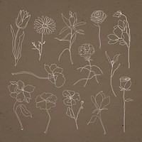 Flower hand drawn vector set white single line art