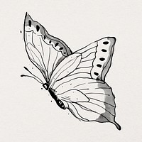 Ink line butterfly psd sticker illustration