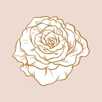 Rose flower sticker, brown vintage botanical illustration psd