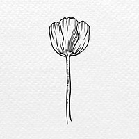 Vintage tulip flower tattoo art, black botanical illustration psd