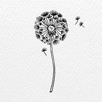 Dandelion flower tattoo art, black vintage illustration psd