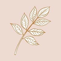 Brown leaf sticker, vintage botanical illustration vector