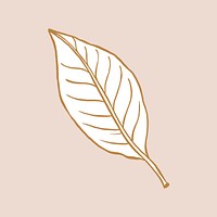 Brown leaf tattoo art, vintage botanical clipart psd