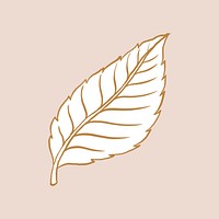 Rose’s leaf tattoo art, brown vintage nature sticker psd