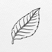 Rose’s leaf tattoo art, black vintage nature sticker psd